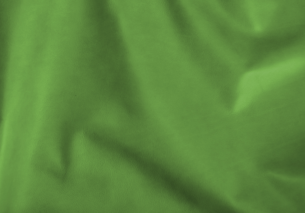 daytona-limegreen