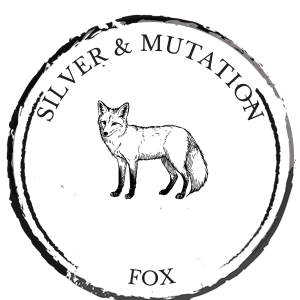 Silver fox & Mutation types