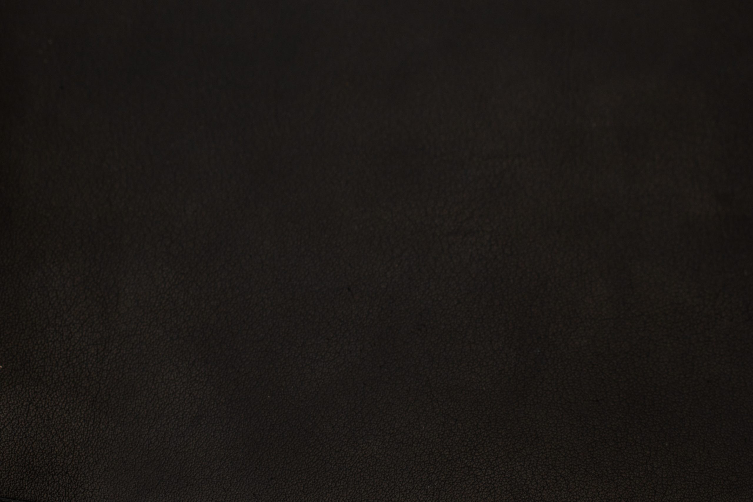 denver-black-scaled-1