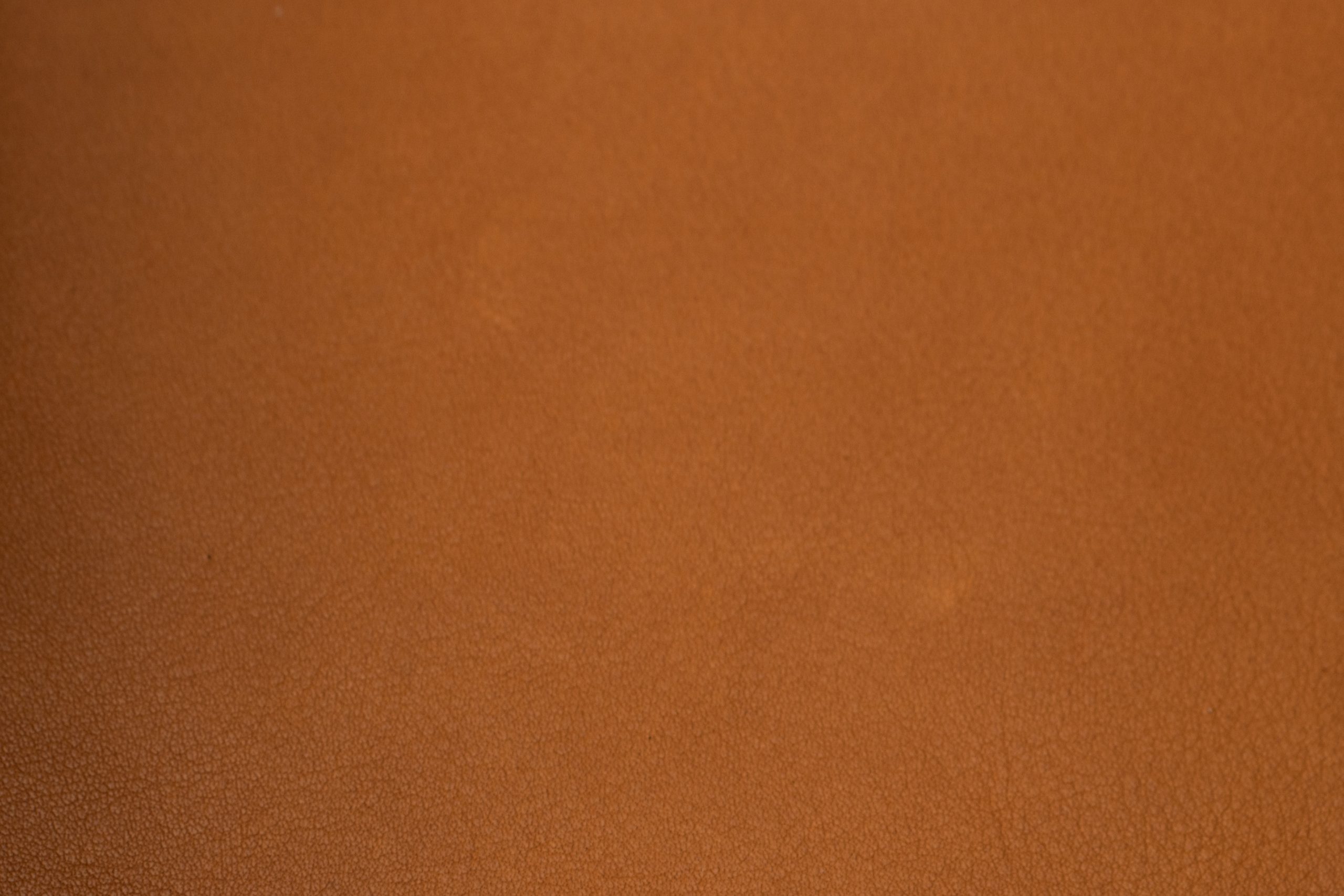 denver-cognac-scaled-1